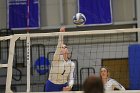 Wheaton Women's Volleyball  Wheaton Women's Volleyball vs Bridgewater State University. : Wheaton, Volleyball, BSU, Bridgewater State College